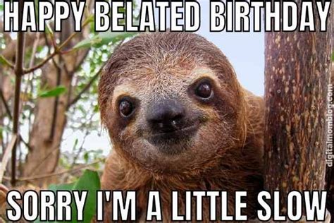 Happy Belated Birthday Meme Sloth Belated Birthday Funny Belated Birthday Greetings Happy