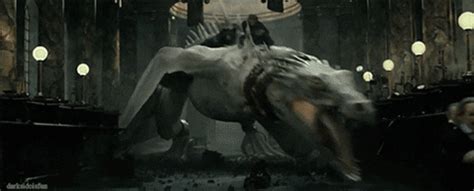 Newly born dragons are referred to as chicks. 'Harry Potter' references and Easter eggs in 'Fantastic ...