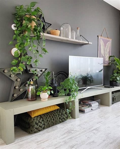 Looking to spruce up your living room without spending a fortune or a complete overhaul? TV cabinet and indoor plants | Tv cabinet decor, House ...