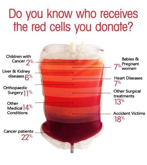 What All Do You Need To Donate Plasma