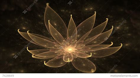Golden Lotus Water Lily Enlightenment Or Meditation And Universe
