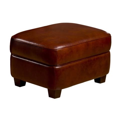 Max Leather Storage Ottoman In Cognac Free Shipping Today Overstock