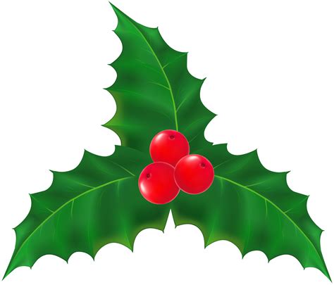 Images Of Christmas Foliage Clip Art png image