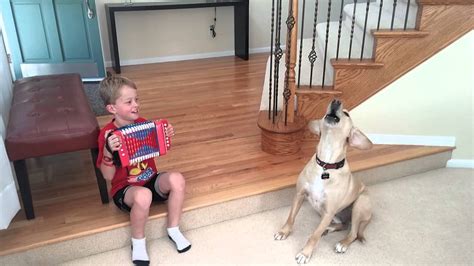 Dog Yodeling Along With Kids Accordion Playing Youtube