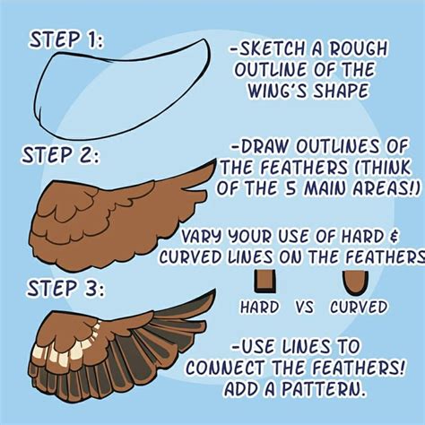 How To Draw Bird Wings 🐦 • • • Sourcecredit Sparrouubird
