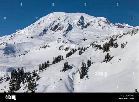 Mount Rainier Under A Winter Blanket Of Snow Mount Rainier National
