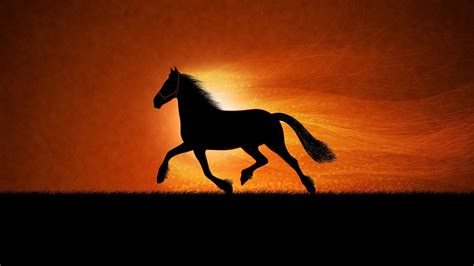 Wallpapers World Horse Wallpapers Free Download For Desktop 1920x1080