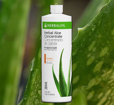 Herbalife Herbal Aloe Concentrate Mandarin Orange Flavor 16