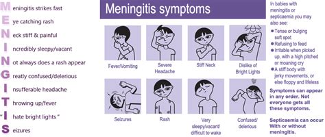 Meningitis Meningococcal Septicaemia