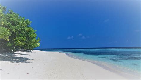 Travel Information For Rasdhoo Island On The Maldives Splashpacker