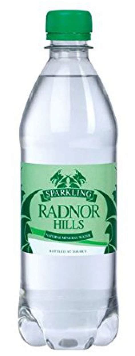 Radnor Hills Sparkling Bottled Water 500ml Pack 24 201036