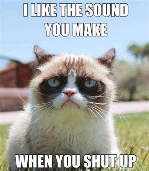 Grumpy Cat No Meme Facebook Image Memes At