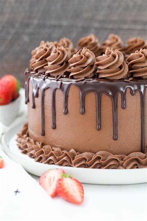 Chocolate Cake Recipe Beyond Frosting