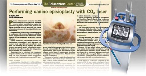 Performing Canine Episioplasty With Co2 Laser