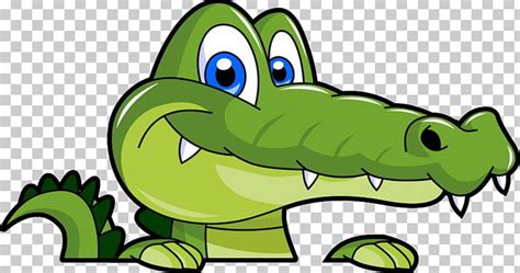 Alligators Cartoon Png Clipart Alligator Alligators Amphibian