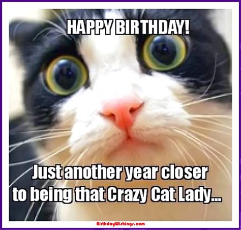 Funny Happy Birthday Memes With Cats Dogs And Funny Animals