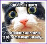 It's your birthday, i have seen how hard you work and it's time to take a break and enjoy the day. Funny Happy Birthday Memes With cats, Dogs & Funny Animals