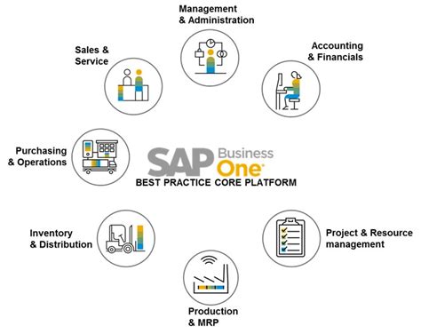 Sap Business One ویراگستر