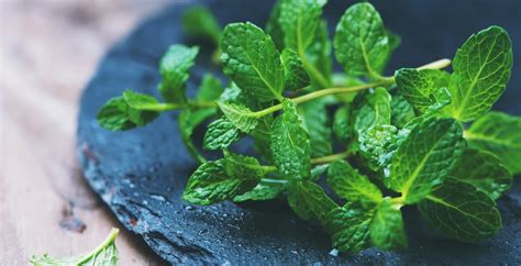 Mint Leaves Benefits Mint Leaves Uses And Mint Leaves Recipes Dr Axe