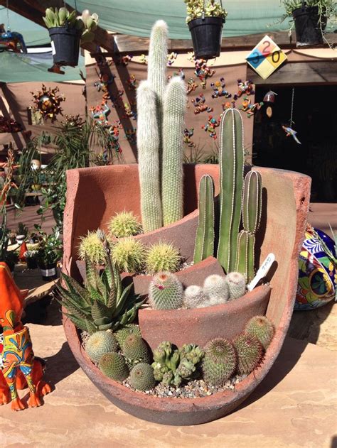 10 Cactus Garden Design Ideas Awesome And Gorgeous With Images