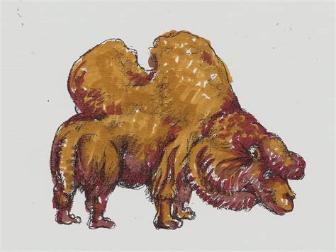 These camels can survive in temperatures. Review of 'Drawing and Painting Imaginary Animals