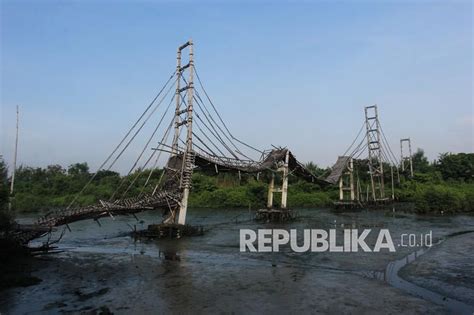 Wawalkot Surabaya Ayo Viralkan Wisata Mangrove Wonorejo Republika Online
