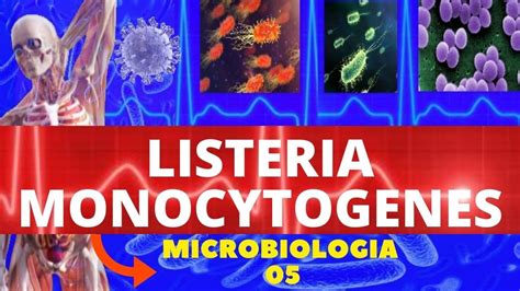 Listeria Monocytogenes Microbiologia BactÉrias PatogÊnicas