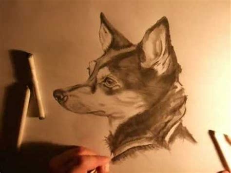 We focus on every detail like dog ears, nose, eyes and even postures. How to draw a REALISTIC DOG - MUST SEE THIS!! FANTASTIC ...
