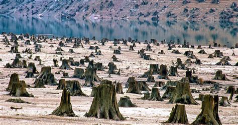 14 Shocking Images Showing Impact Of Human Activities On Earth