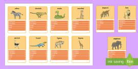It has a series of tables/spaces on them to fill in a name, picture, categories and scores. Playing Cards Template - Top Trump Maker - Twinkl Resources