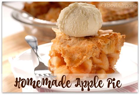 This recipe delivers a delicate balance of flavor and texture always season the pastry pie crust with salt and sugar. Easiest Apple Pie to Make with Kids