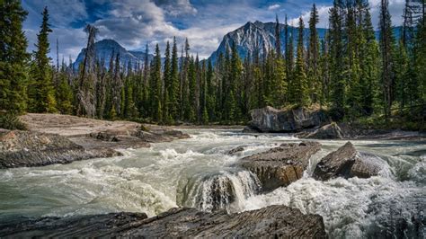 4k 5k Emerald Lake Yoho National Park Canada Parks Mountains