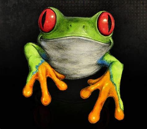 Frog Paintings Frog Painting Tree Frog Art Frog Drawing