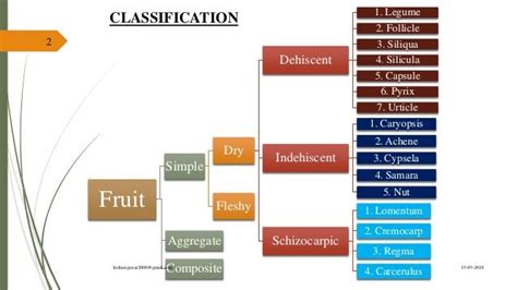 Fruit Morphology And Botanical Classification Botany Botanical