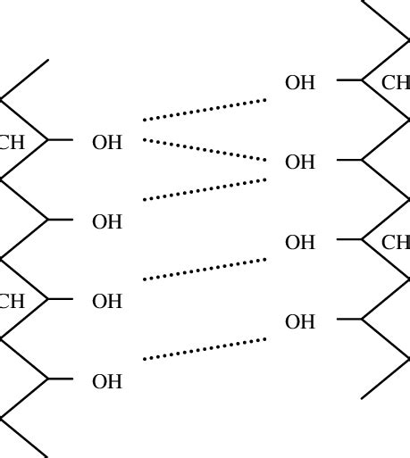 Pva Crystal Structure The Dotted Lines Indicate Hydrogen Bonds