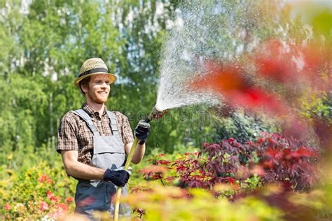 Smiling Man Watering Plants At Garden Stock Image Image Of Center
