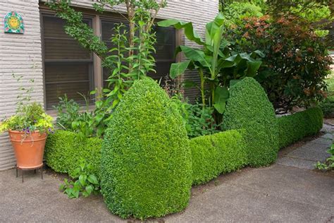 Plants For Small Garden Borders Basic Design Principles And Styles