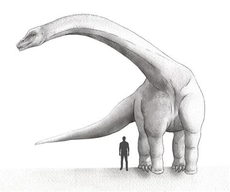 Dreadnoughtus Schrani