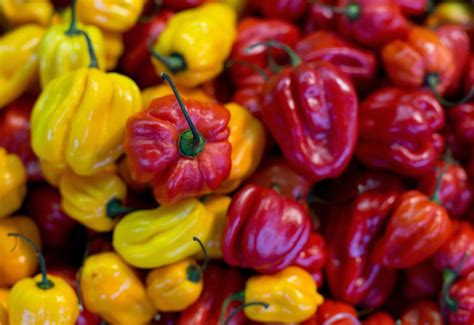 5 Mexican Hot Peppers Deemed The Spiciest In Mexico Latin Post Latin News Immigration