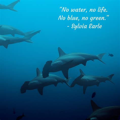 11 Inspiring Quotes Thatll Make You Want To Protect The Ocean