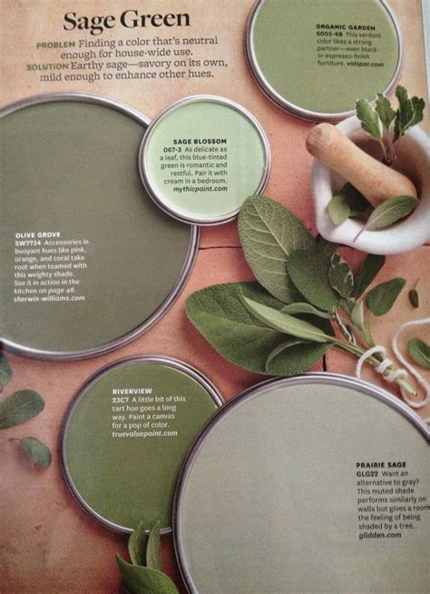 Better Homes And Garden Sage Green Paint Colors Diy Interior