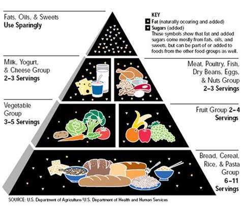 Nutrition Plate Unveiled To Replace The Food Pyramid The New York Times