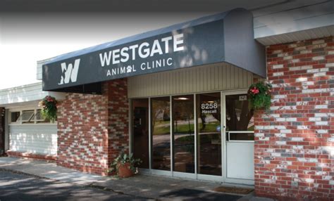 About Us Westgate Animal Clinic