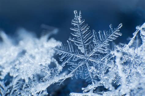 No Two Snowflakes Are Alike The Wonderous Beauty Of Gods Creation