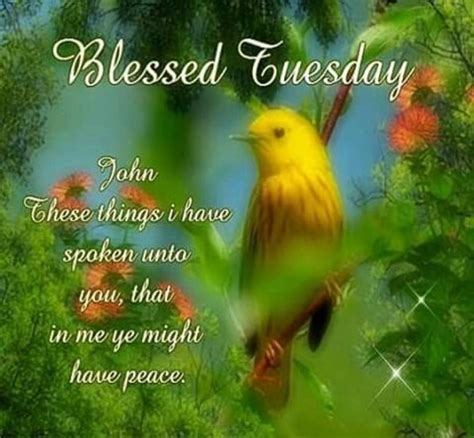10 Best Blessed Tuesday Quotes Sayings And Images