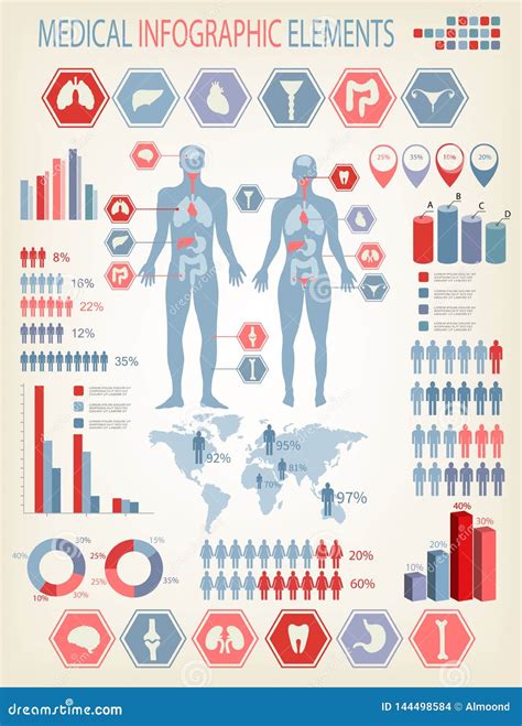 Big Set Of Medical Infographics Elements Human Body With Internal