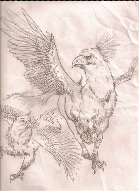 Hippogriff Harry Potter Drawings Harry Potter Crafts Harry Potter Fan