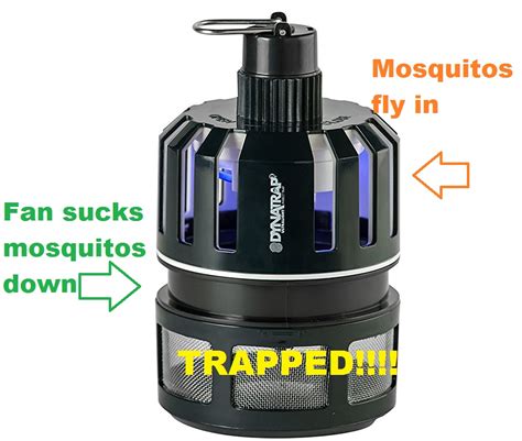A Diy Mosquito Trap That Actually Works Five Gallon Ideas