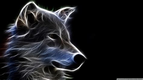 Hd Wolf Wallpapers 1080p 71 Images