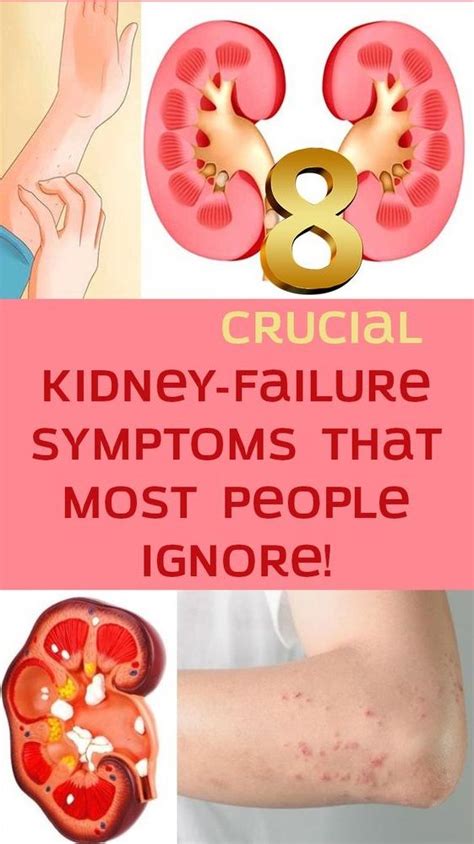 Are The Kidneys Located Inside Of The Rib Cage Kidney Pain Location